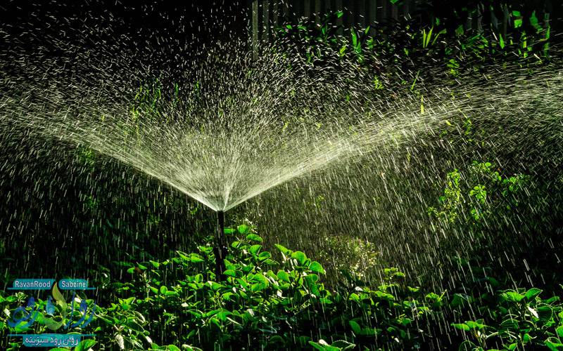 آبیاری به روش بارانی