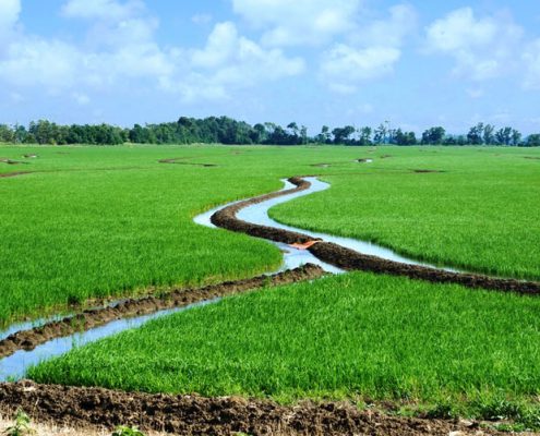 اهمیت آب در کشاورزی
